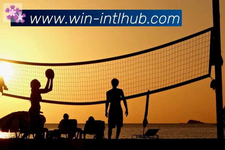 App Interface Preview