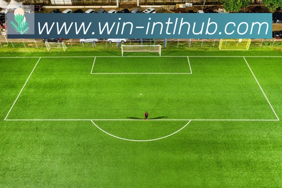 新葡京博彩官网荣誉